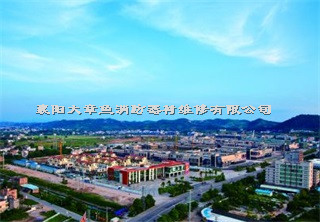 檢測(cè)案例